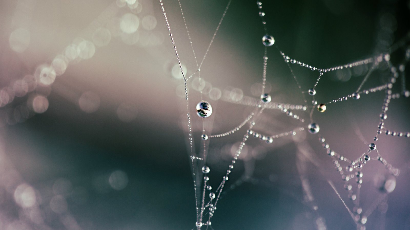 百度搜索风云榜:国内常见的搜索引擎有哪些