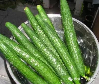 t01271a1f199cfcc514.webp
