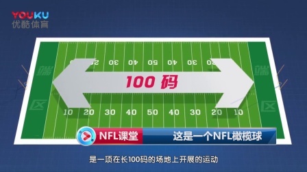 2018-2019赛季NFL职业橄榄球大联盟