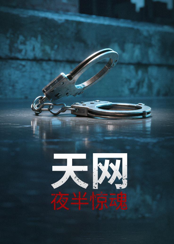 天网：夜半惊魂