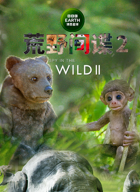 荒野间谍 第二季（Spy in the Wild Series 2）