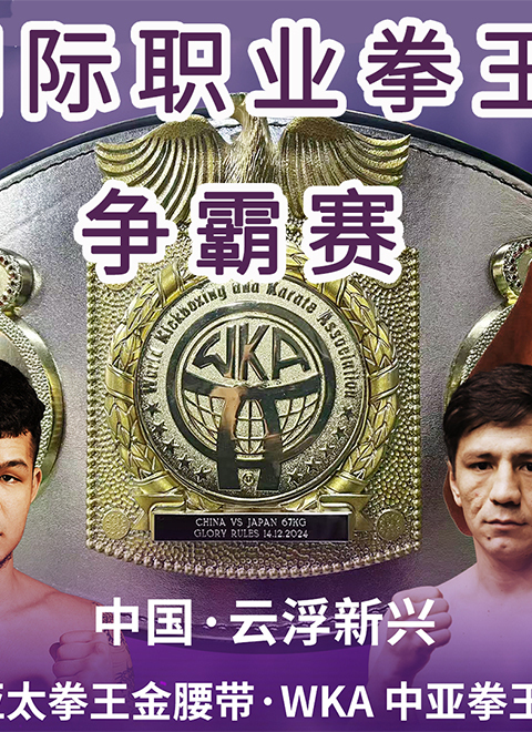 国际职业拳王争霸赛