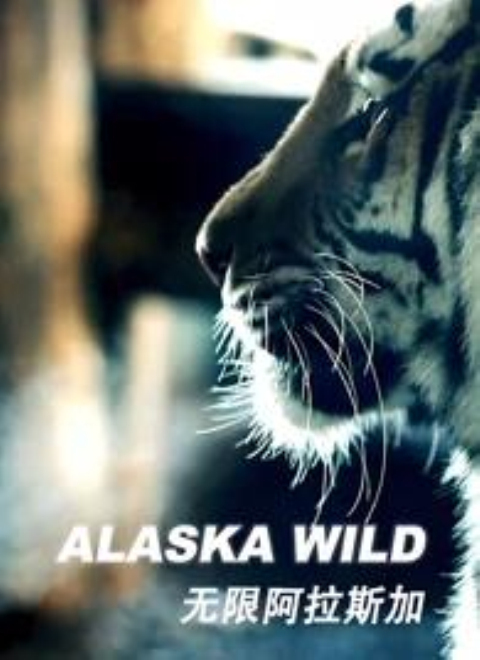 无限阿拉斯加（Wild Alaska）