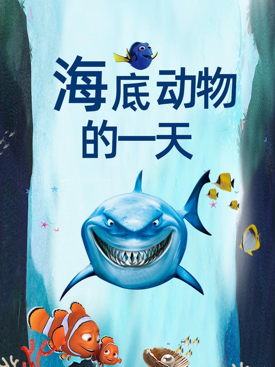 海底动物的一天