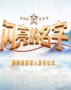 闪亮的名字——最美退役军人发布仪式