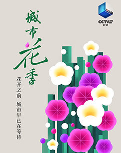 城市花季