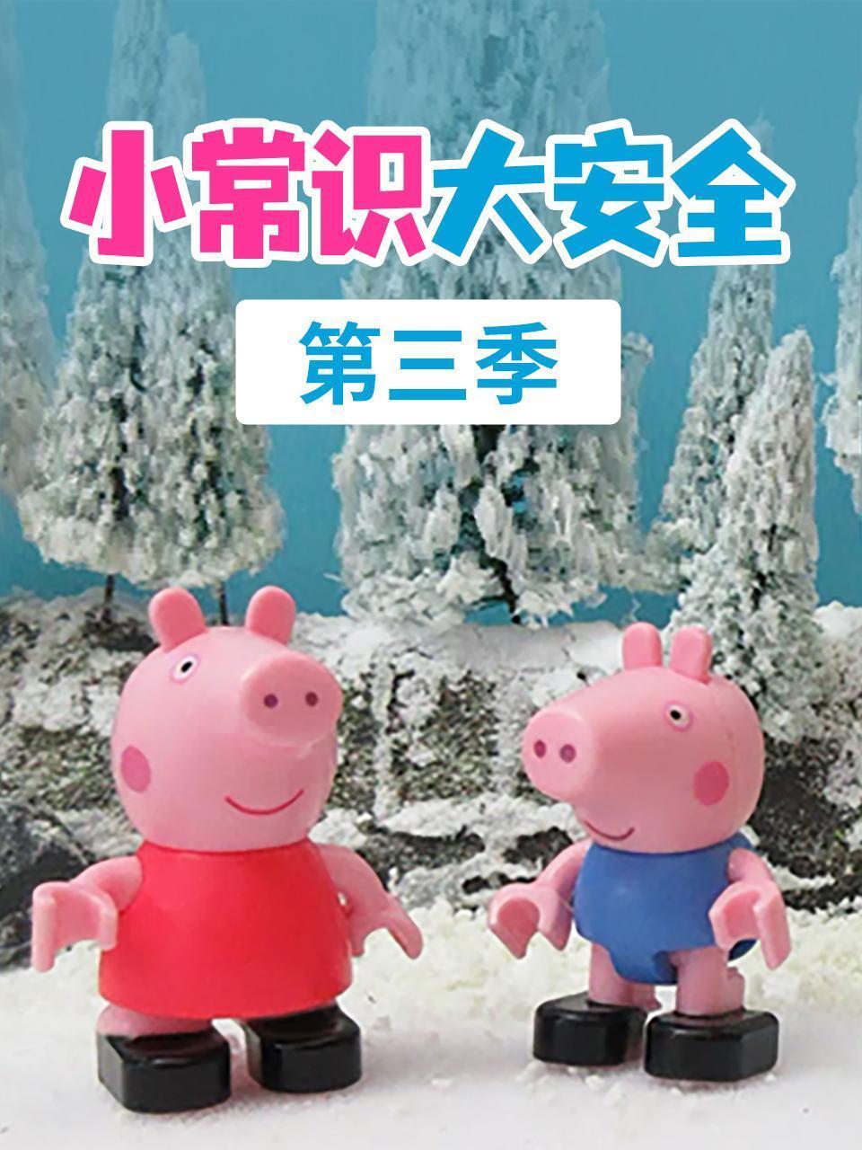小常识大安全 第三季