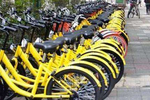 北京西城广内街道成立“单车联盟” 发布“文明公约”