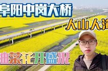 中岗大桥_360资讯搜索