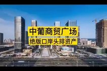 用户18556106900422020-10-26横琴口岸绝版中葡商贸广场跟我一起逛