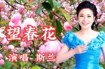 利群音乐8天前斯兰演唱《望春花,抬头仰望,天地一片醉人风光,委婉