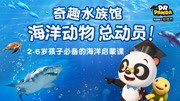 集美海洋动物馆_360资讯搜索