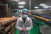 桃李面包增收不增利,沈阳首富征服不了南方人.