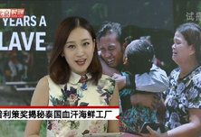 普利策奖揭秘泰国血汗海鲜工厂