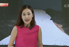 莫桑比克发现马航370残片