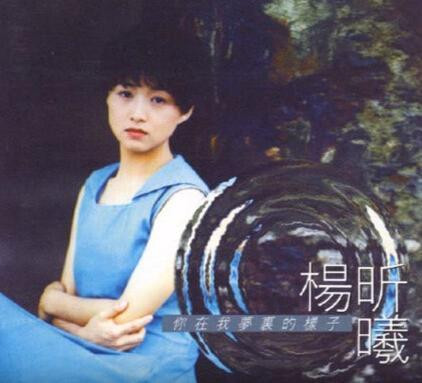 台湾玉女歌手大变身 淡出歌坛十多年当法官