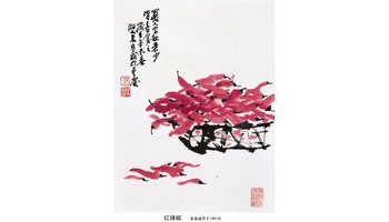 红辣椒-植物
