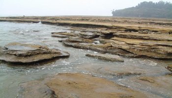 基岩海岸海蚀地貌成因分析 基岩海岸的主要特点从平面上看,岸线曲折且