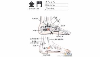 金门-中医穴位