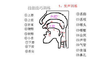 这是一个很专业的学问,包括气息,用嗓,口腔共鸣,吐词方式等.