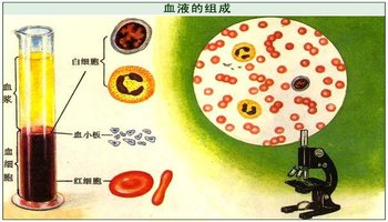 血液