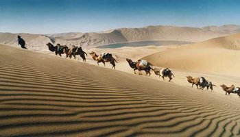 恩格贝生态旅游区