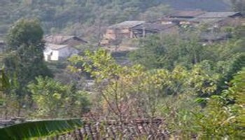 李子树自然村-云南省文山州丘北县平寨乡李子树自然村