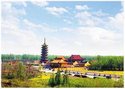 息心寺原名息心庵,国家aaa级旅游区,占地60亩,坐落于黄海之滨,射阳