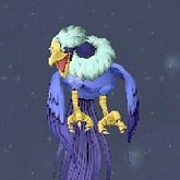暴雪鹰.jpg