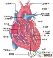 心前区疼痛