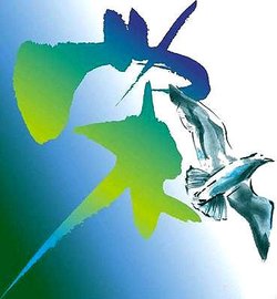 本人<em>姓宋</em>!得一公主!求大神<em>取</em>名字!-
