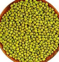 横山大明绿豆_360百科