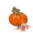 南瓜.png