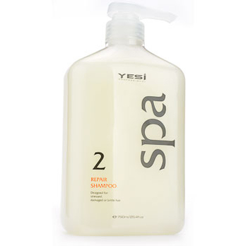 悦丝2号受损洗发水 750ml 两款包装随机发货. 