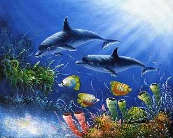 海豚海底世界无框画图片大全_海豚海底世界无