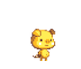 金猪.png