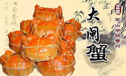 军山湖团购村大闸蟹1只,美食,南昌美食美食,南螃蟹部落酋长感恩节发言稿图片