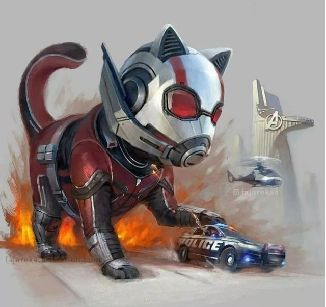 如果漫威英雄都是猫, 黑豹猫依旧炫酷毒液猫