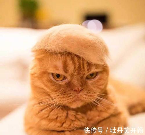欢笑集锦:昨天我带四岁的小外甥逛超市 亚洲888真人