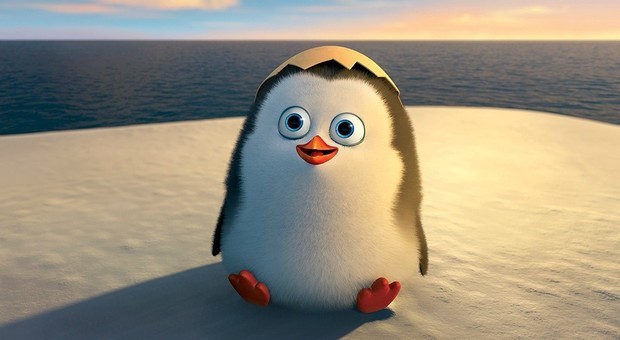 马达加斯加的企鹅电影什么时候可以免费播放?