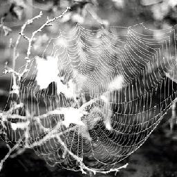 张玮伽一曲《海浪 》DJ舞曲版-好听分享!