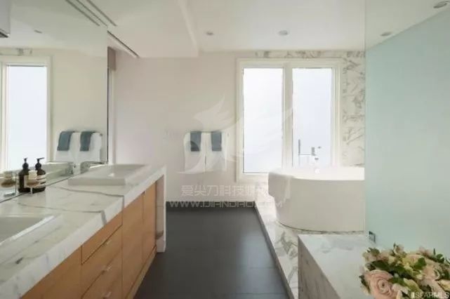 乔布斯遗孀在旧金山新购置一处豪宅:价值1亿,景观无敌