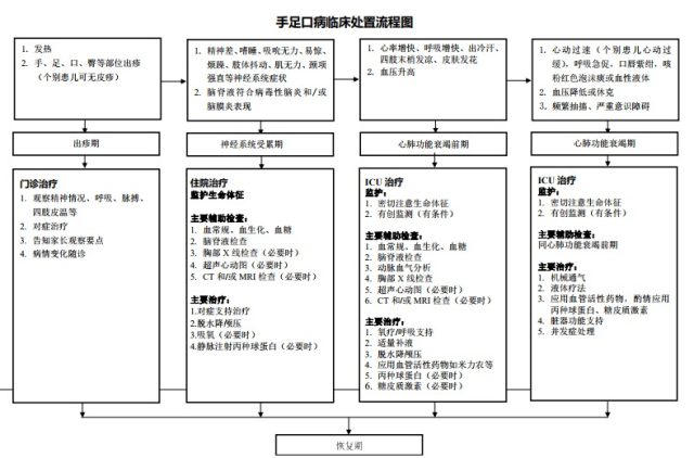 手足口病进入高发季，最新指南你看了吗?