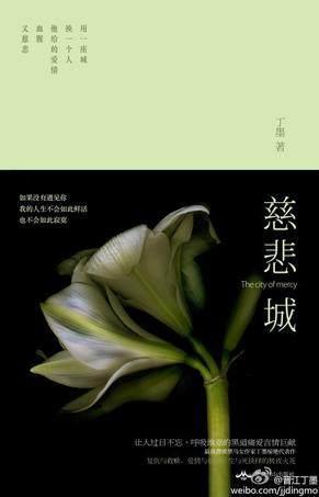 熬夜苦追的好看宠文,现代女主宠文,青梅竹马有