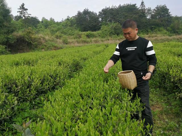 「尘语」乡村振兴一驻村干部