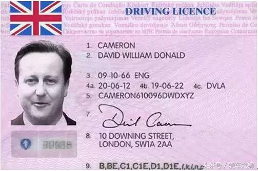 全球最漂亮驾照居然在中国?,日本驾照很像中国