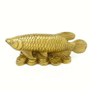 廣州魚(yú)缸廠家聯(lián)系電話地址（廣州魚(yú)缸廠家聯(lián)系電話地址查詢） 觀賞魚(yú)市場(chǎng)（混養(yǎng)魚(yú)）