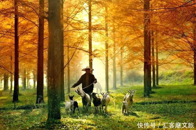 北纬30°上又一个神秘仙境，凭什么惊艳世界？