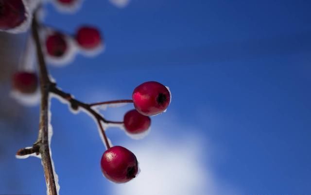 面试成绩查询与面试分数计算?2019年教师资格