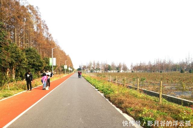 上海市长兴岛郊野公园规划了近30平方公里,只